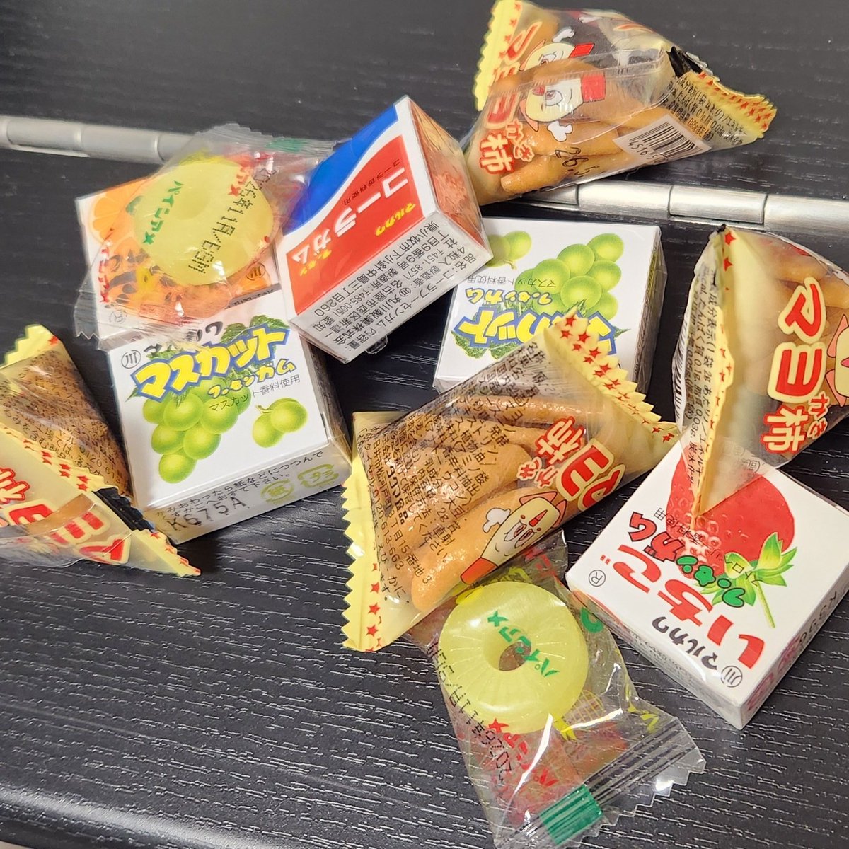 緑の木と三毛猫さん 🏗️🕹️𓃠〜