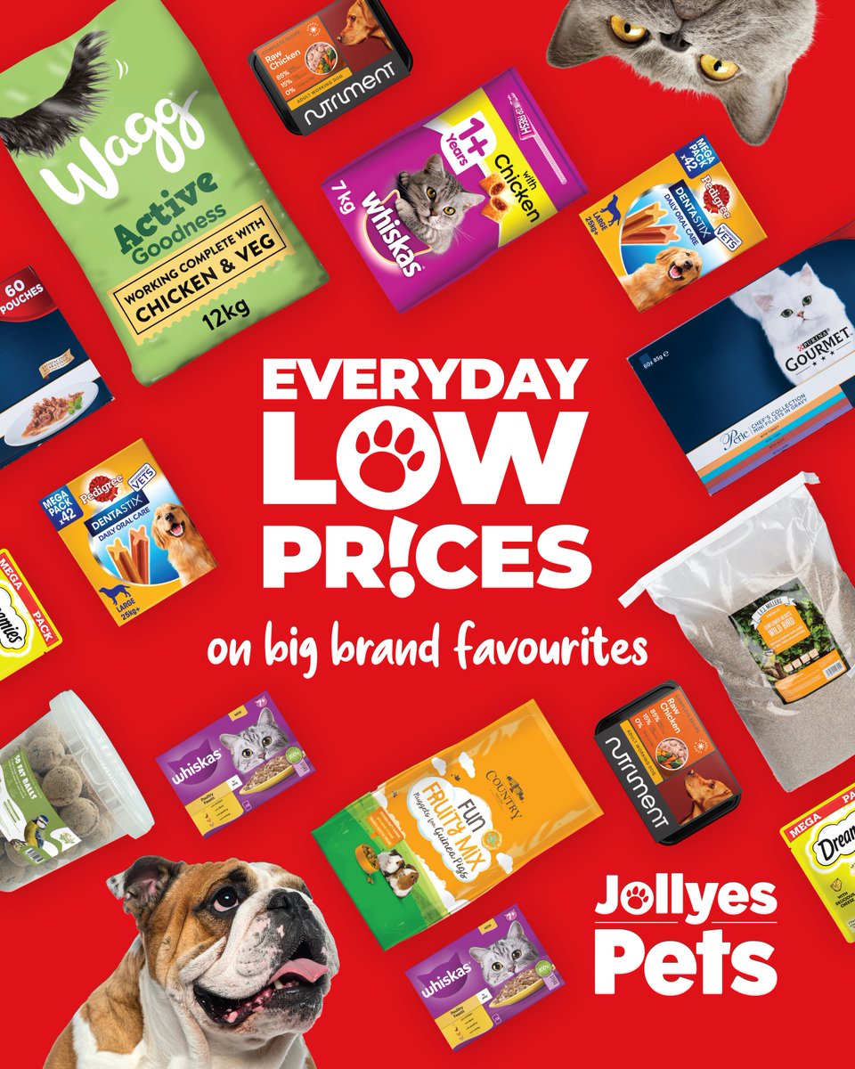 Jollyes Pets tweet media