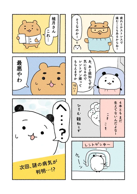 (2/5) 