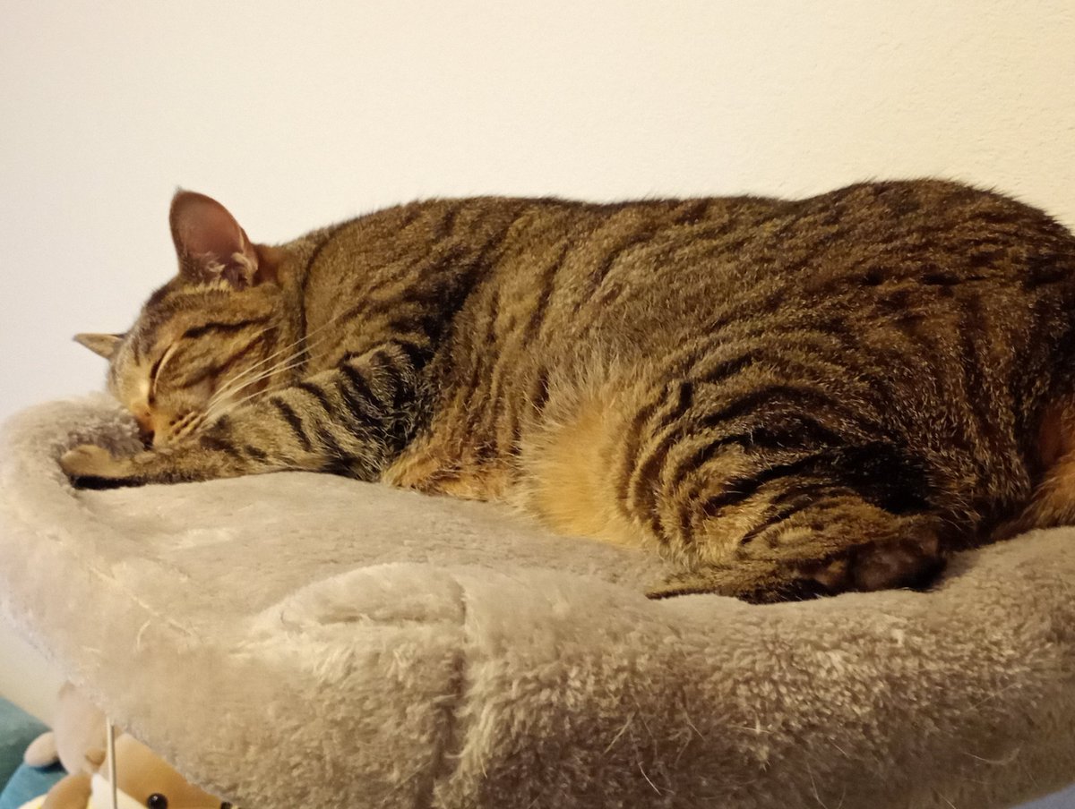 寝る子は育つだね〜( ´∀｀)