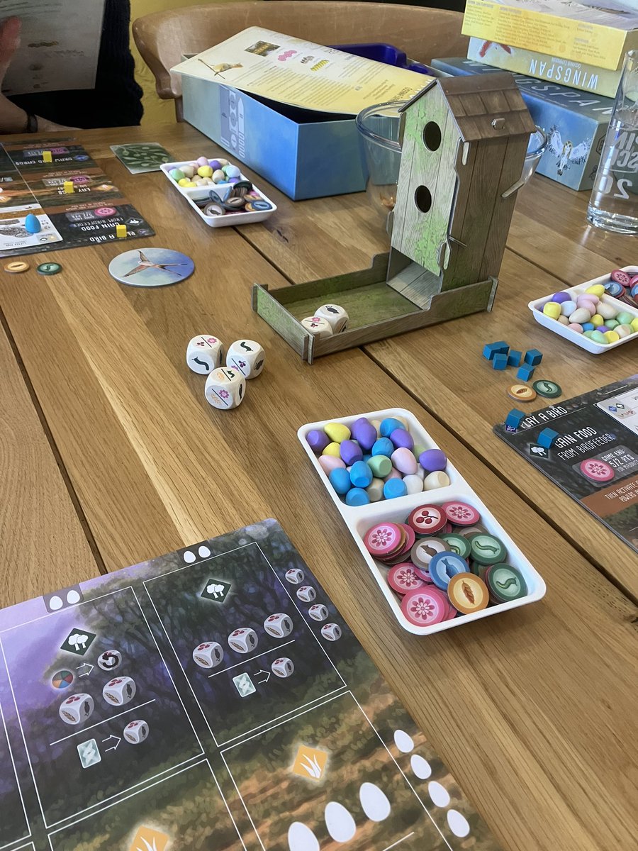 FunOrganised's tweet image. New year’s game day! Starting off with some Wingspan! 🦅