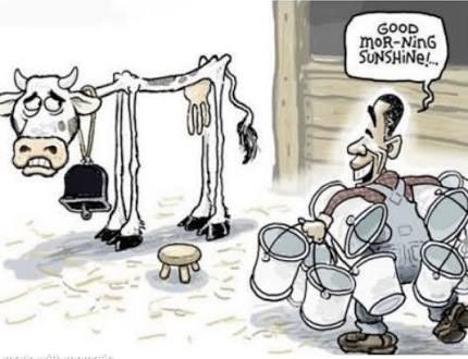 Xerynes ⚙️ tweet media