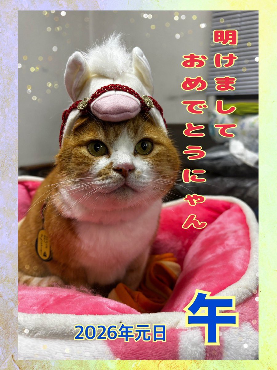備中松山城 猫城主 さんじゅーろー (@sanju_ro_) / Posts / X