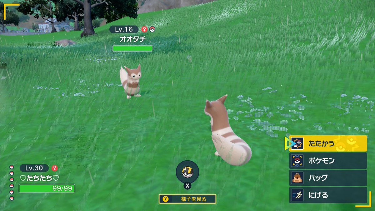 「ちしたににしたち」ページ 99 2025年秋冬 KUNISHIMAオリジナルコレクション バンチブック