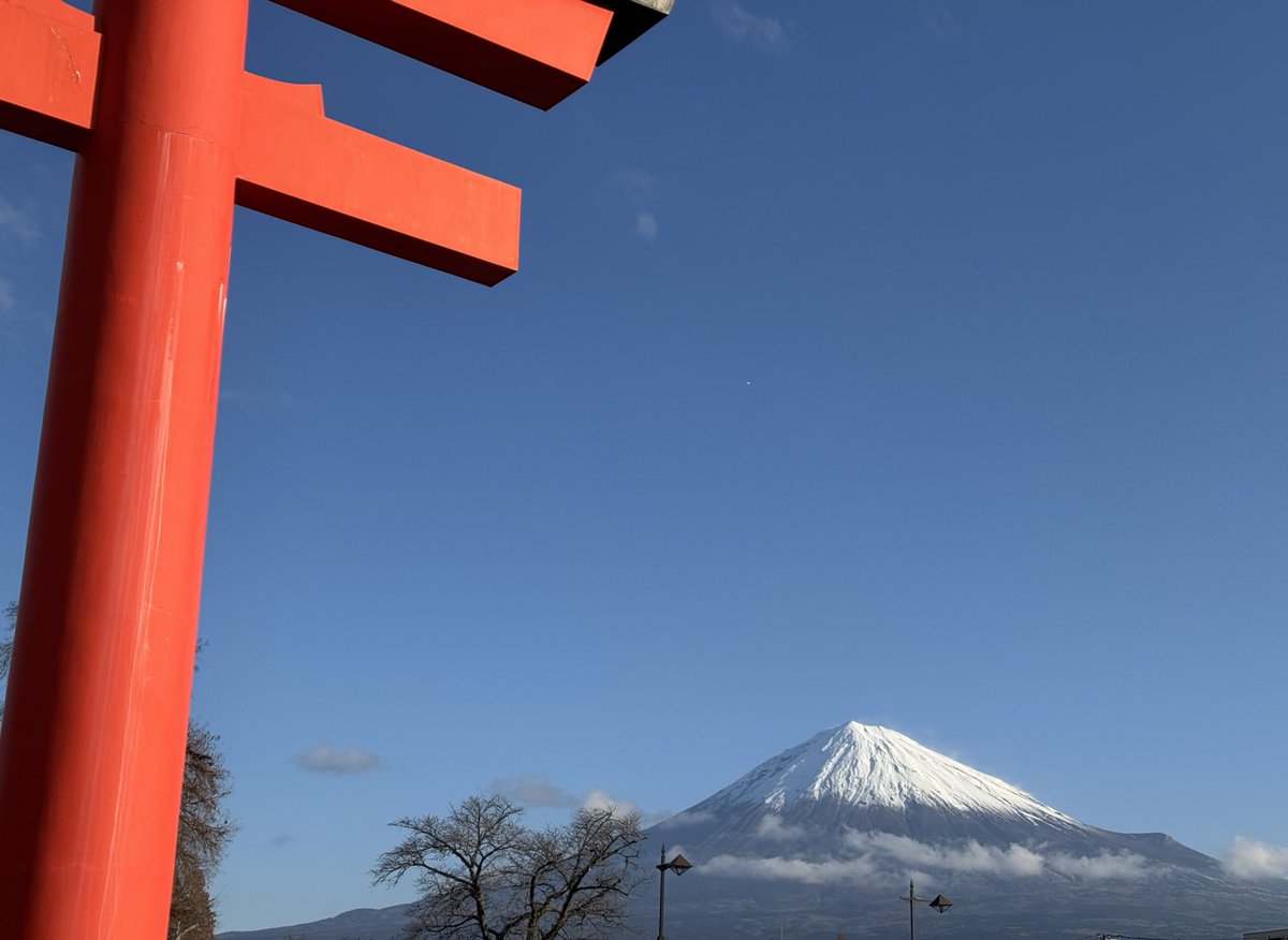 あけましておめでとうございます🌅(遅

今年もたくさん縫い縫いしていきます！
去年間に合わなかった新作や、もうちょっと等身の高いボディ向けのヘッドとかも作っていきたいなと
あとは止まってるライドウをちゃんとクリアしたい🐈‍⬛