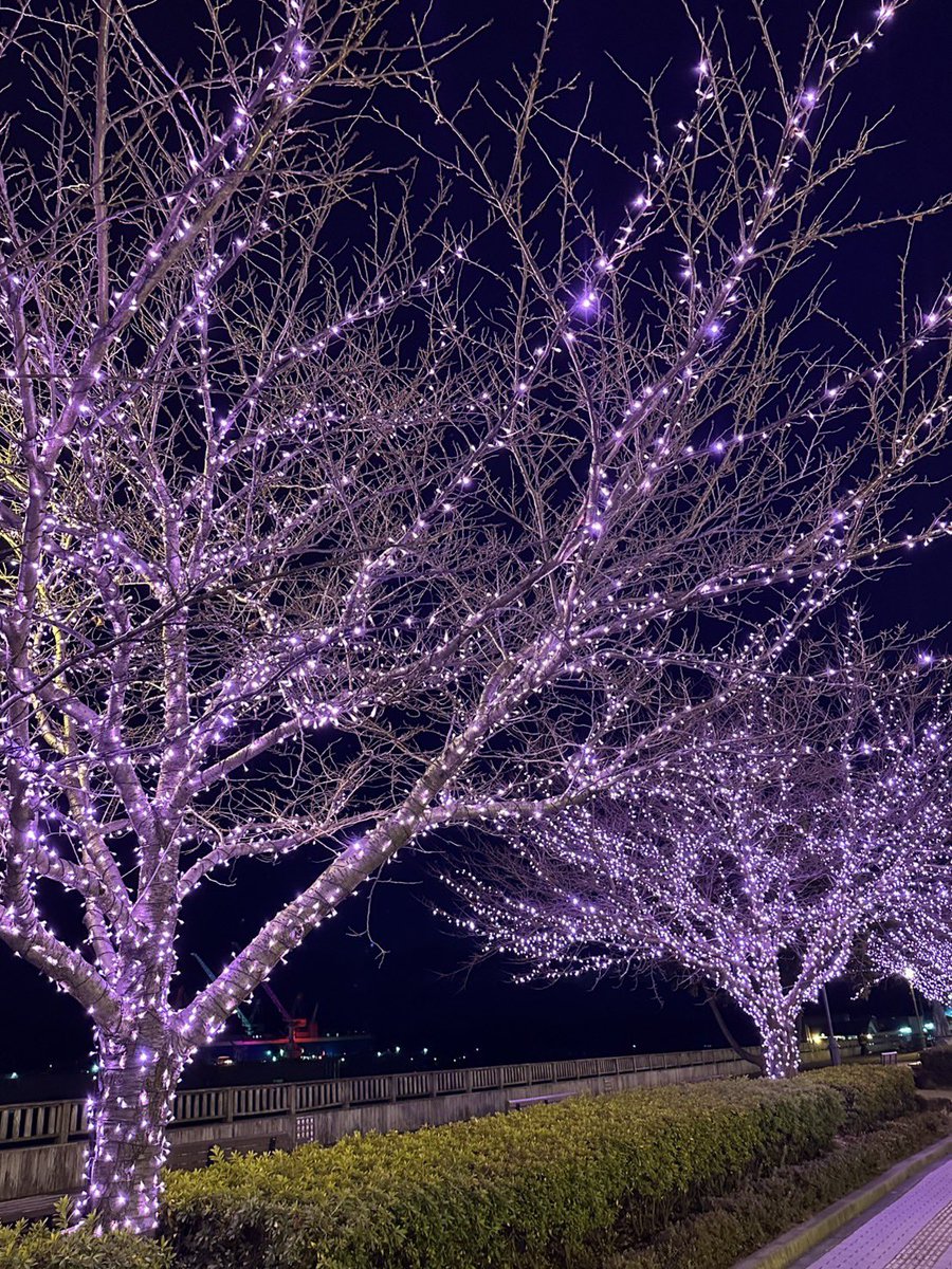 石尾田礼二 (@reiji_ishioda) / Posts / X