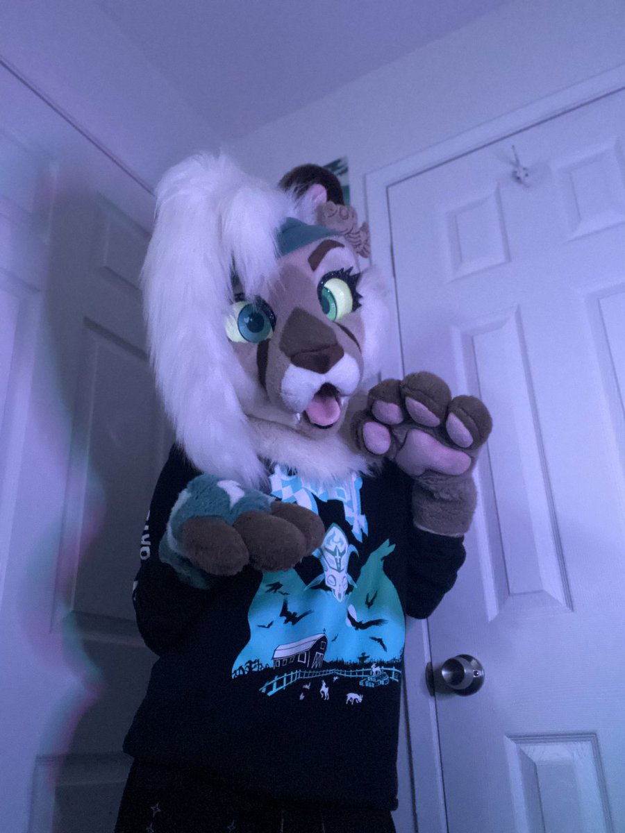 Harlow!! 💫🌊 see her debut at FC 26!! 🫣
✂️: wildvskings/sharkstudios
#FursuitsFriday #newfursuit