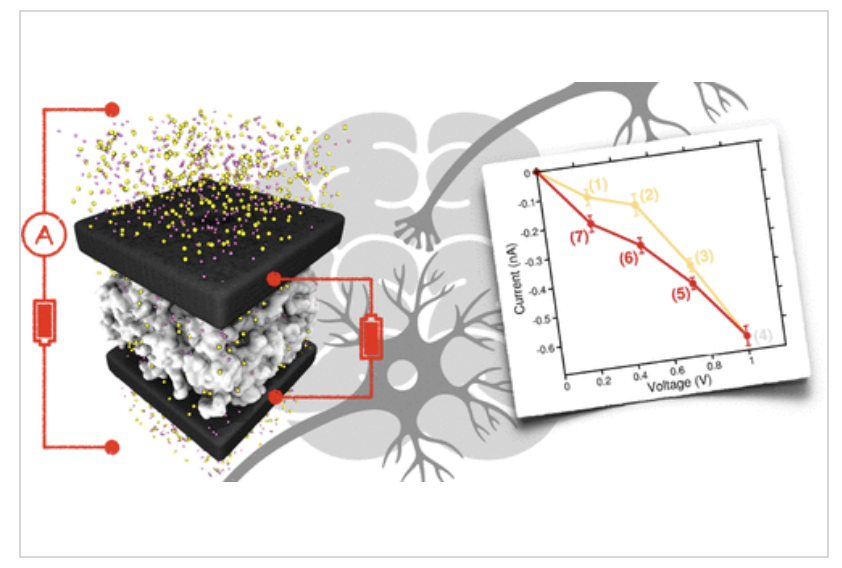 ACS Nano tweet media