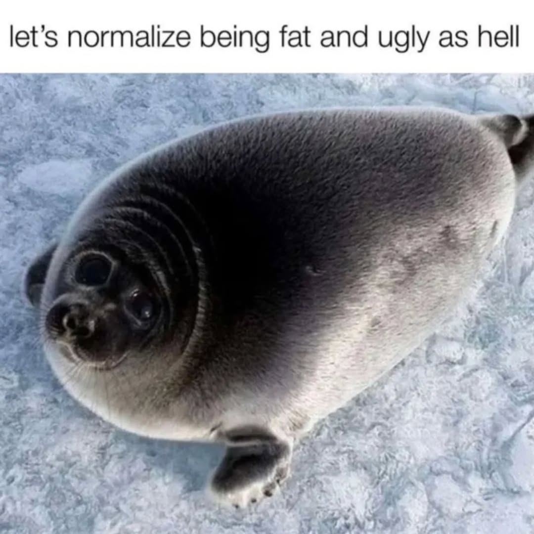 Sixrande's tweet image. 