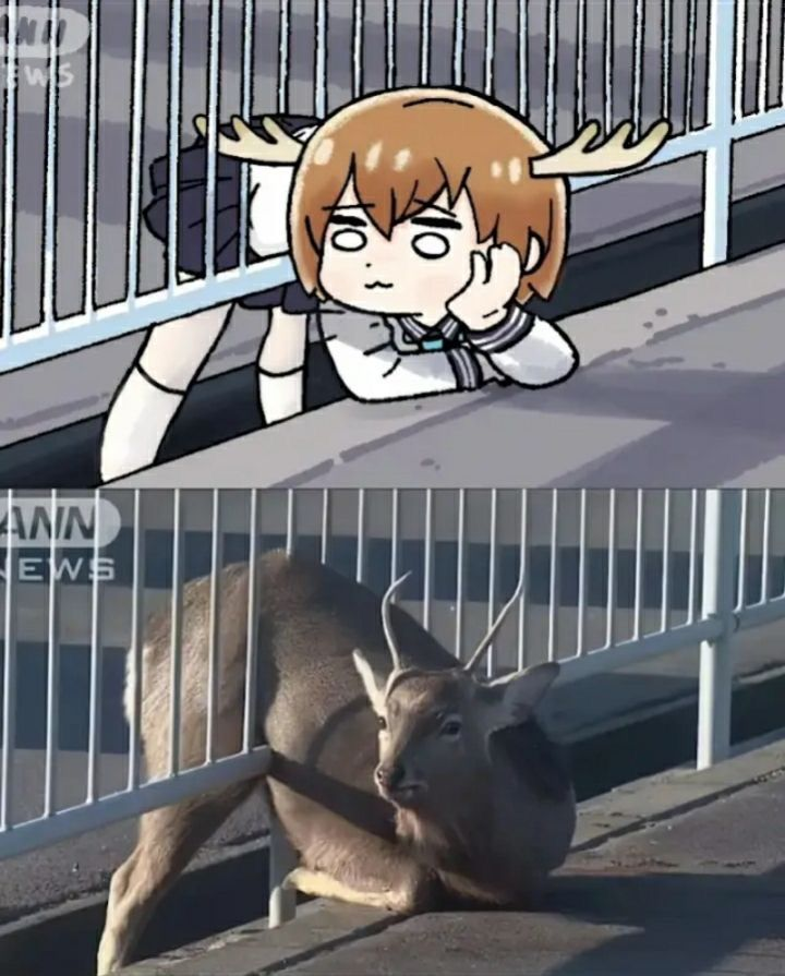 GifsAnime_'s tweet image. 😂