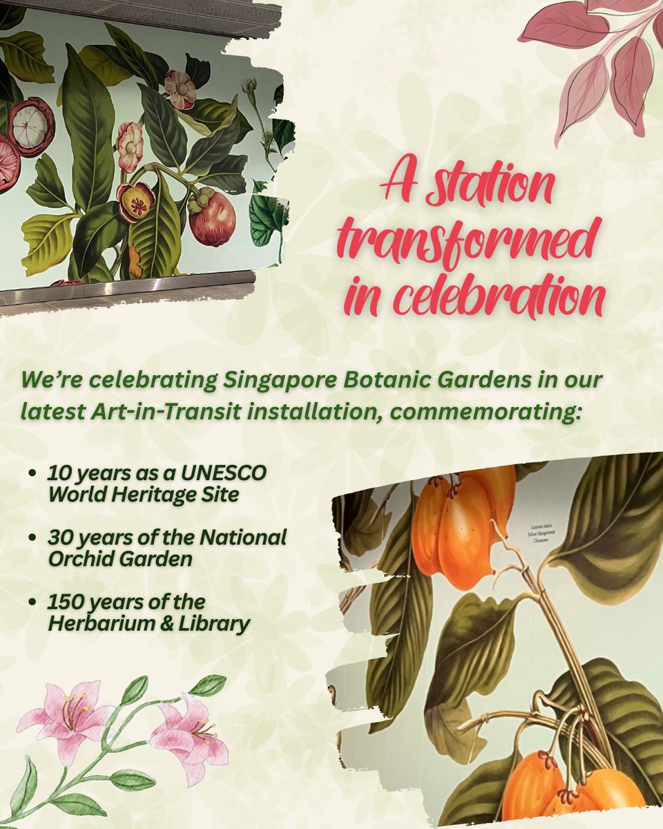 LTAsg's tweet image. We’ve teamed up with @nparksbuzz and refreshed Botanic Gardens MRT to honour Singapore's natural heritage! 🌺
 
Experience our new #ArtInTransit showcase of Singapore Botanic Gardens' plant collection at the MRT station, on your way to this #UNESCO World Heritage Site! 🚇🌿