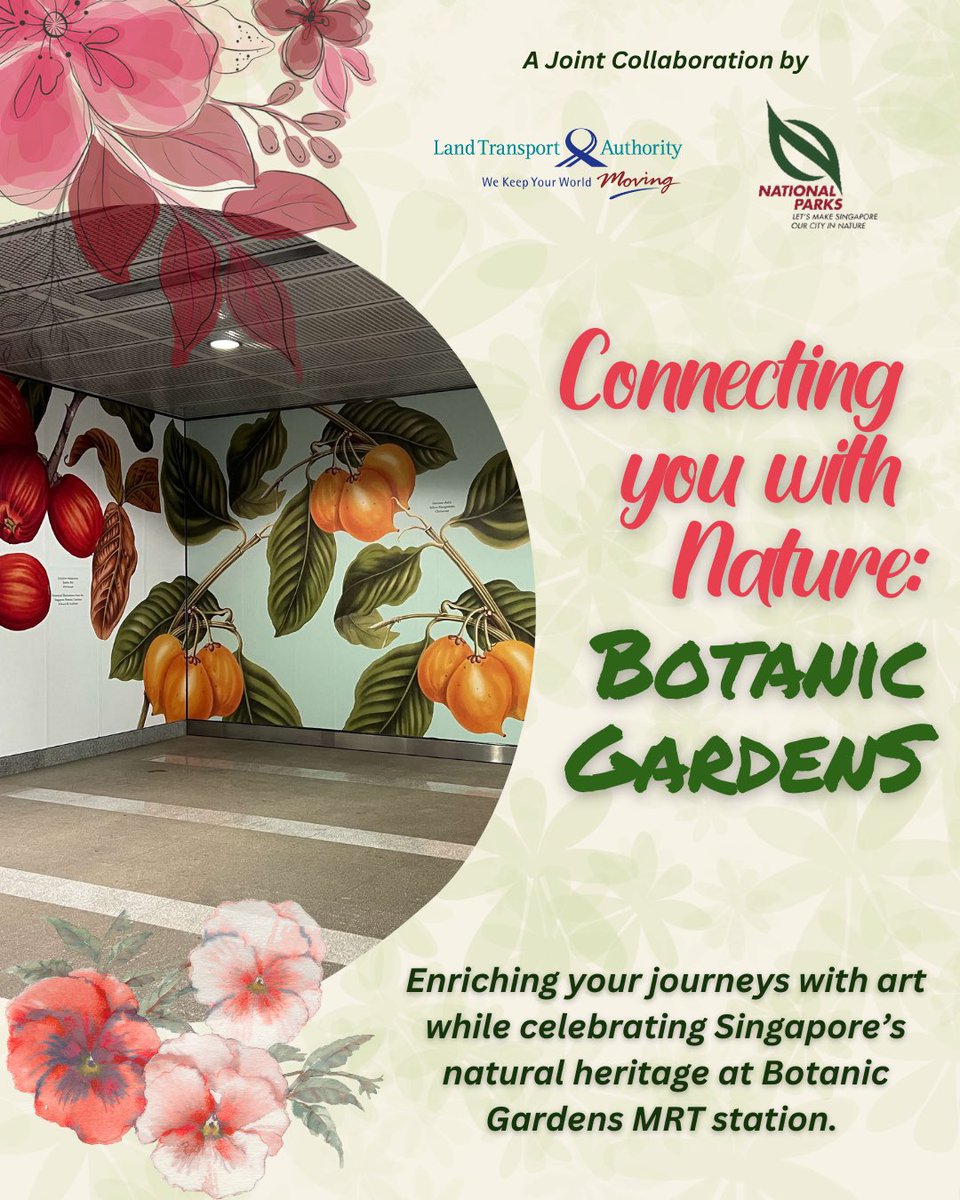 LTAsg's tweet image. We’ve teamed up with @nparksbuzz and refreshed Botanic Gardens MRT to honour Singapore's natural heritage! 🌺
 
Experience our new #ArtInTransit showcase of Singapore Botanic Gardens' plant collection at the MRT station, on your way to this #UNESCO World Heritage Site! 🚇🌿