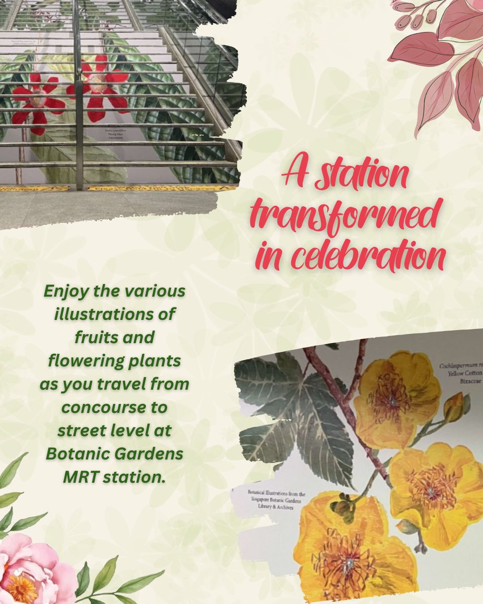 LTAsg's tweet image. We’ve teamed up with @nparksbuzz and refreshed Botanic Gardens MRT to honour Singapore's natural heritage! 🌺
 
Experience our new #ArtInTransit showcase of Singapore Botanic Gardens' plant collection at the MRT station, on your way to this #UNESCO World Heritage Site! 🚇🌿