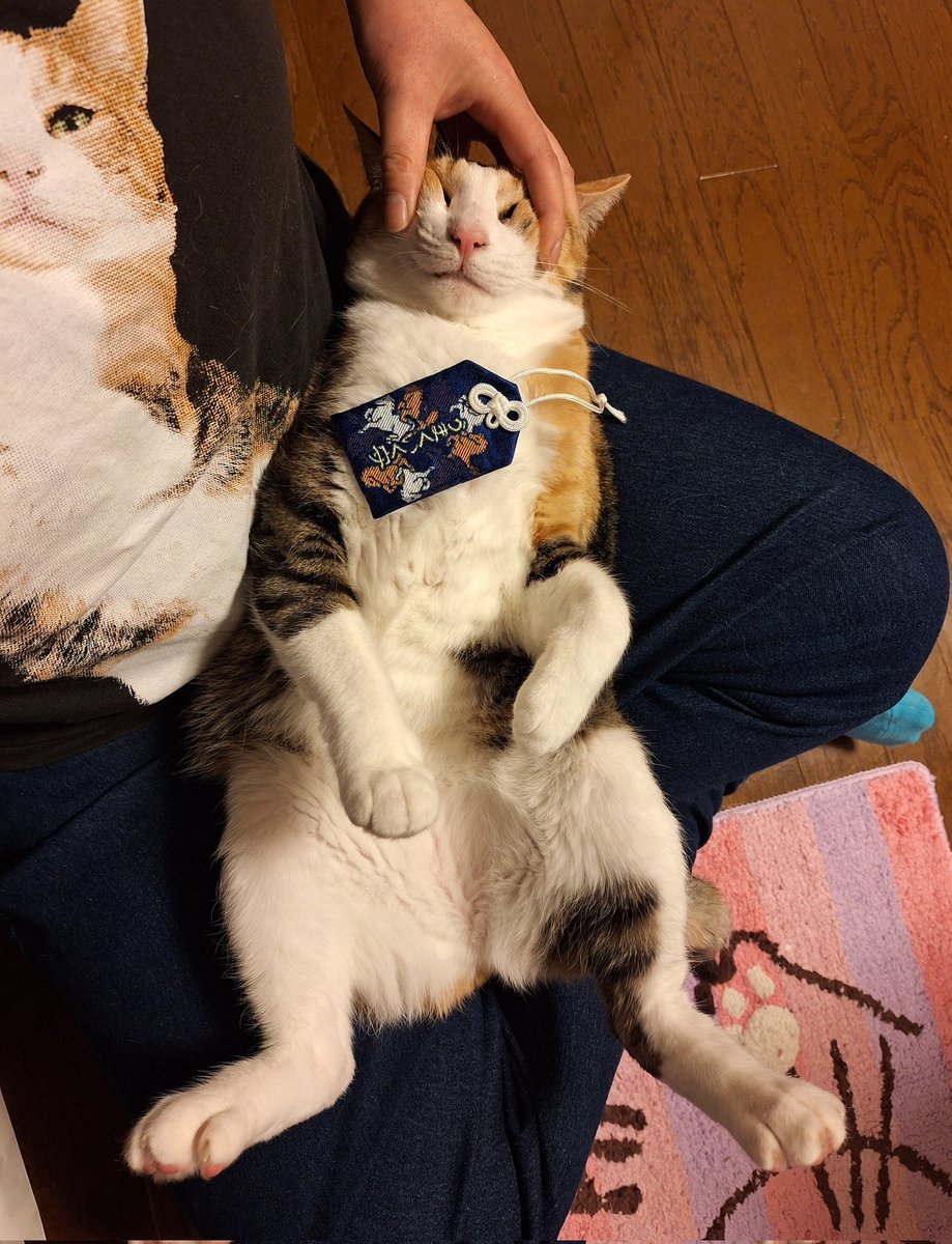 kawaii_nekoniko's tweet image. 初詣いきました