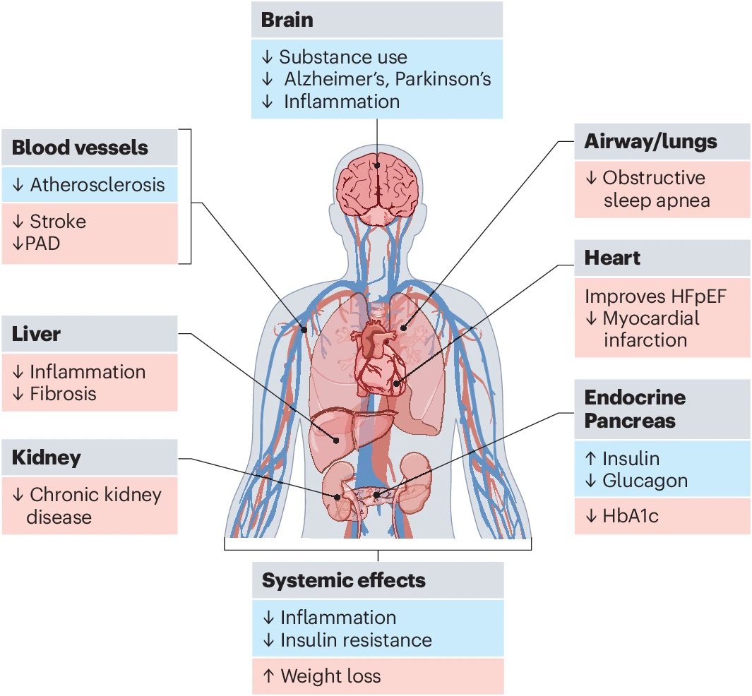 Anirban Maitra tweet media
