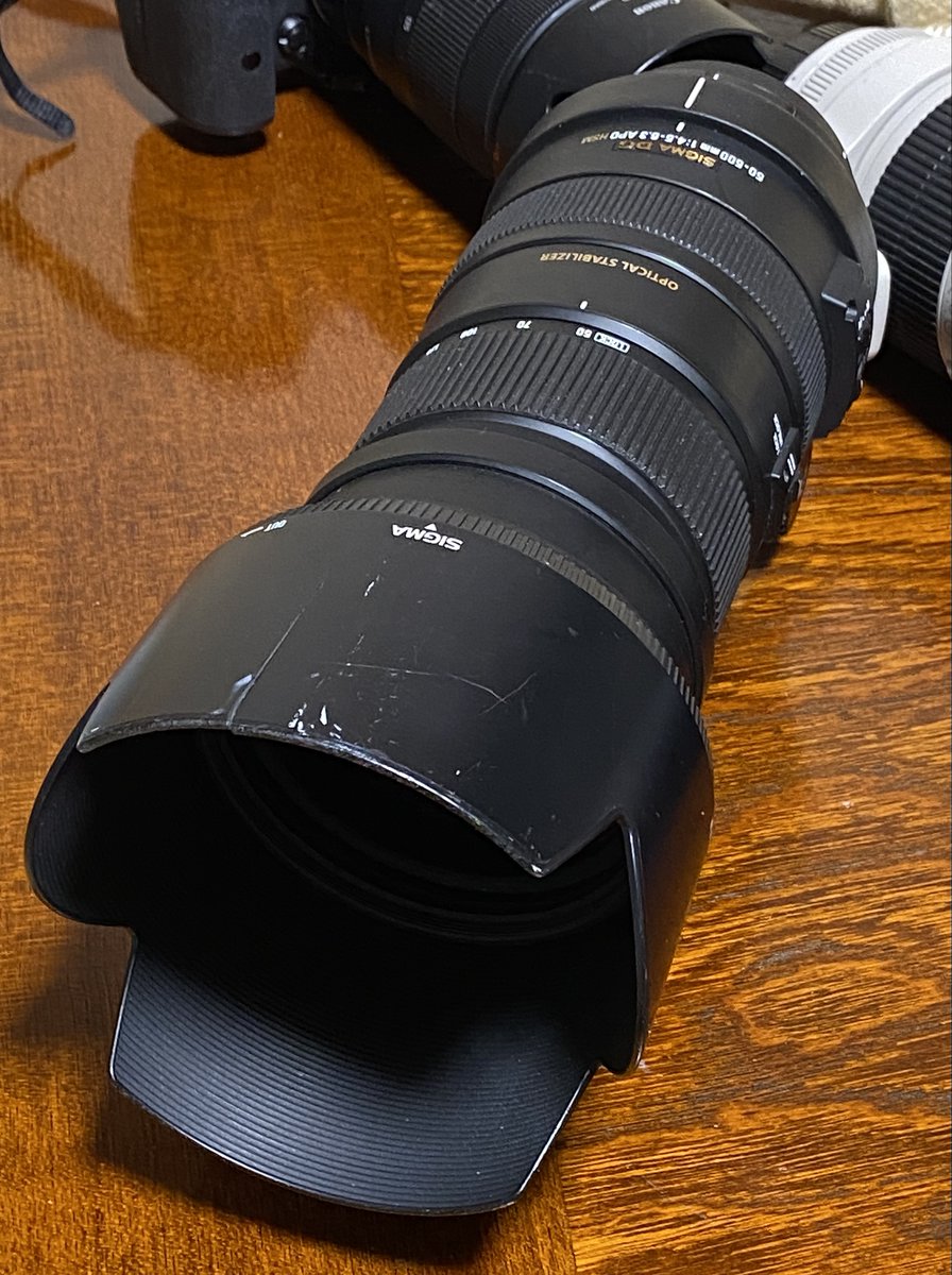 悲報】 14年連れ添ったSIGMA APO 50-500mm逝く 昨日変な駆動音がしたと