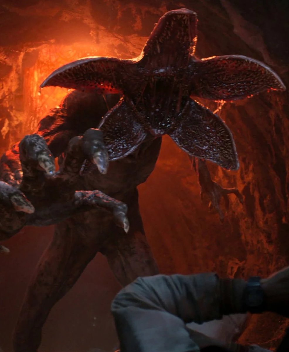 ManuVisión tweet media