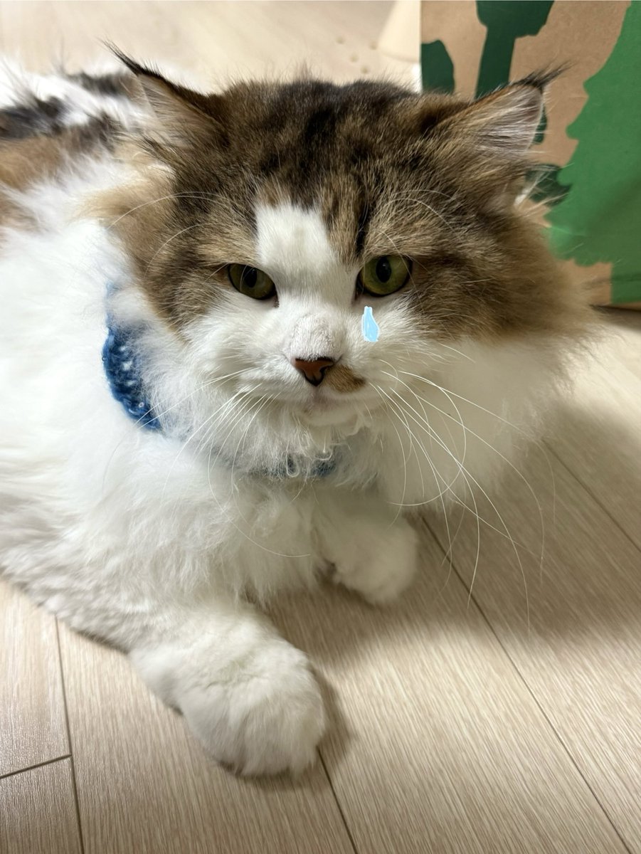 엄마가 나 중학교 못간대
어제 떡국 안먹어서…
중학교가려면 1월 1일에 떡국 먹어야된대 몰랏어