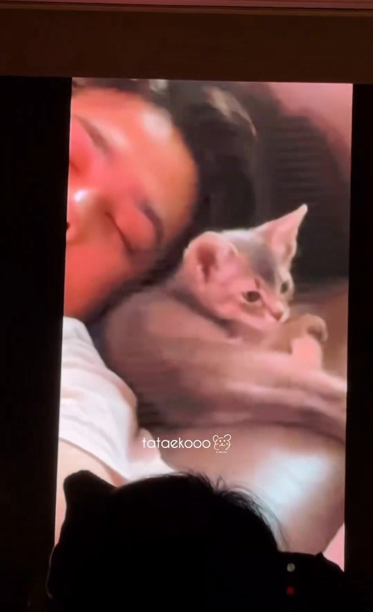 iloveyongqin's tweet photo. cookie was so little :( https://t.co/nYguAW6v5O