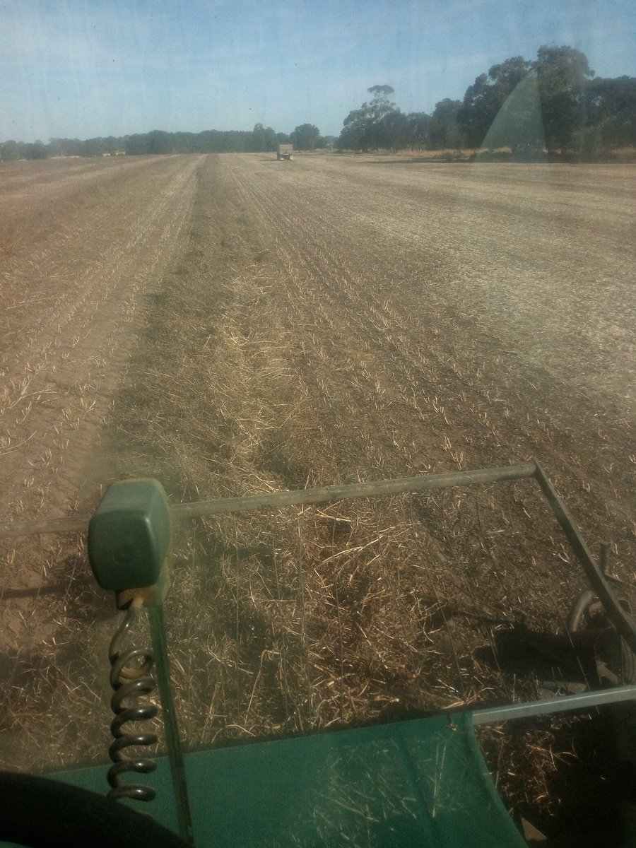 Todd Venning tweet media