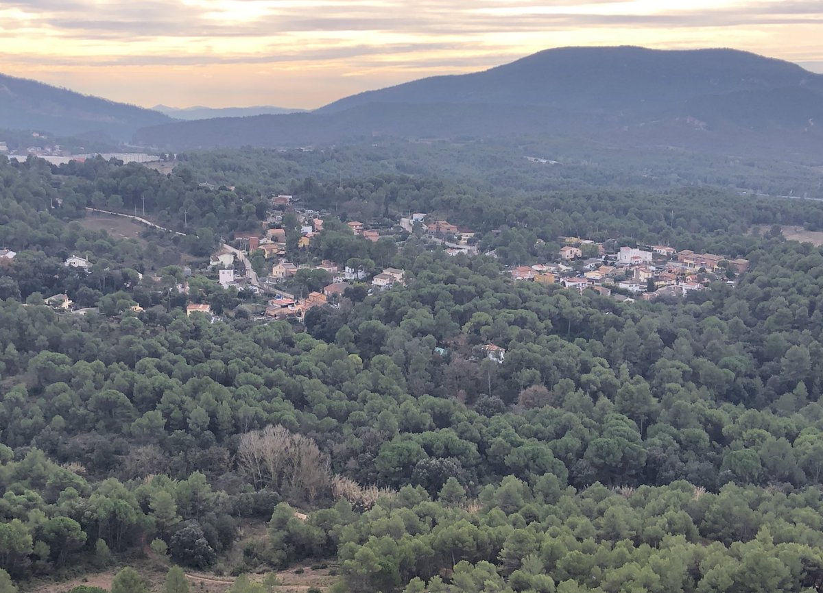 Diferències entre un territori AMB PAGESIA o SENSE PAGESIA. 

Exemple clar de l’anomenat paisatge mosaic (foto 1) i nula gestió forestal (foto 2). 

Biodiversitat: Foto 1 > foto 2 

A més, ara és hivern, però quan arribi la calor i els incendis 🔥 ja en tornarem a parlar…
