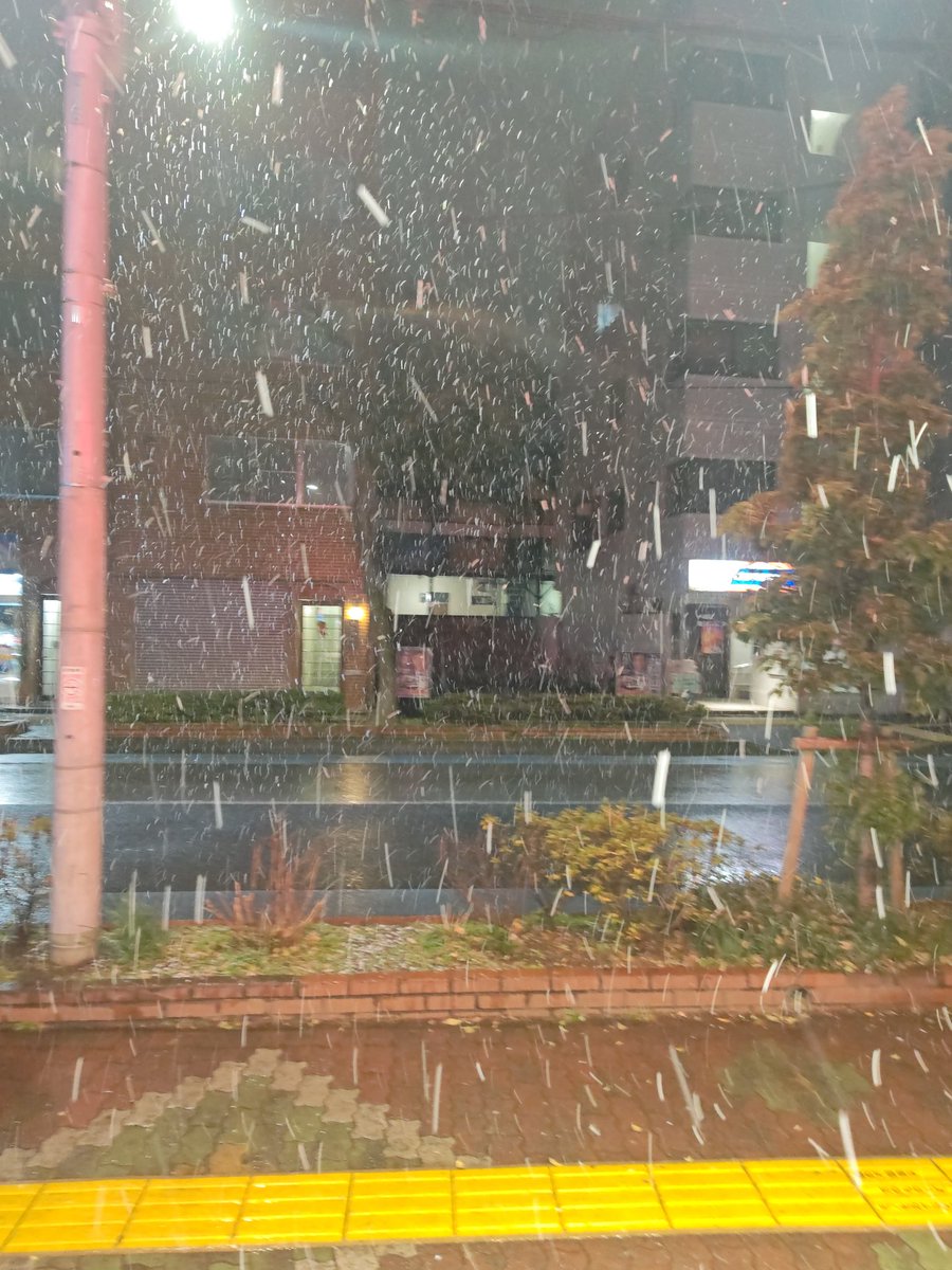 初雪