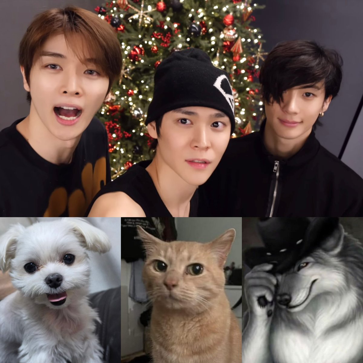 rib ❀ (@mjmndss) on Twitter photo 