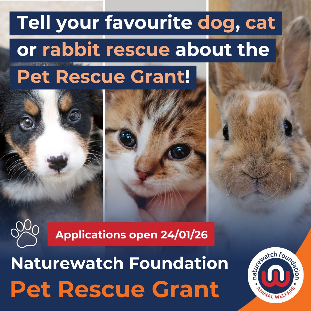Naturewatch Foundation tweet media