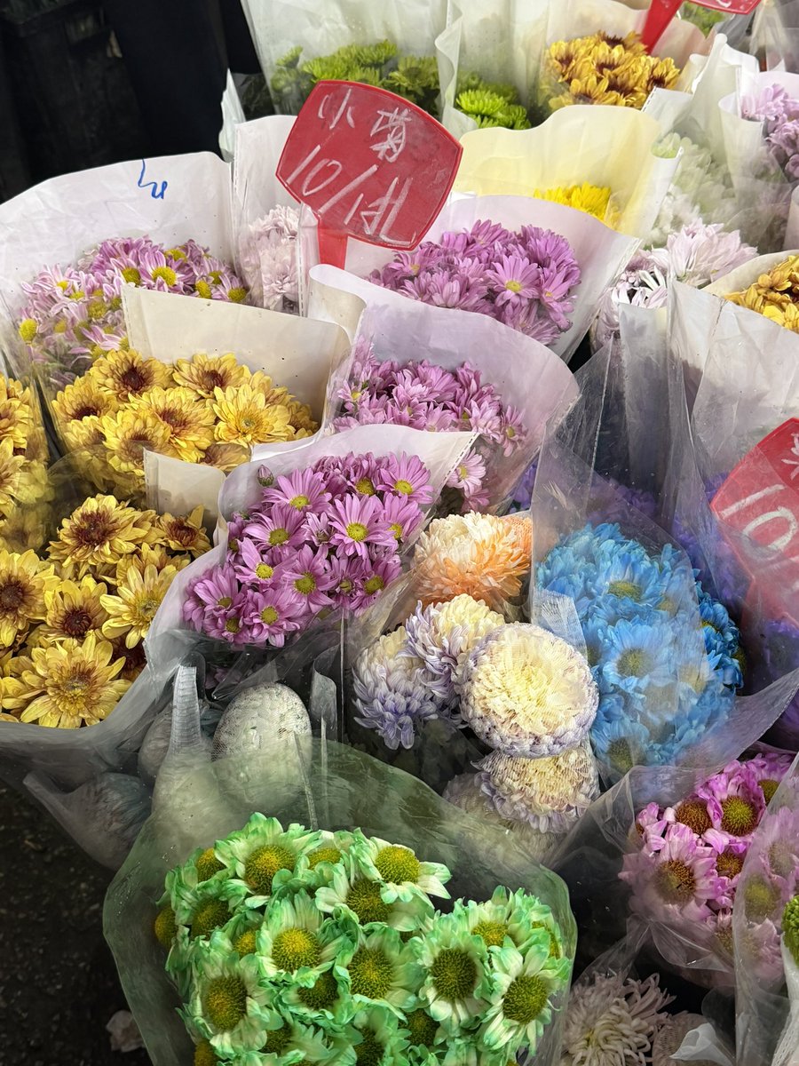 酒酿小汤圆 tweet media