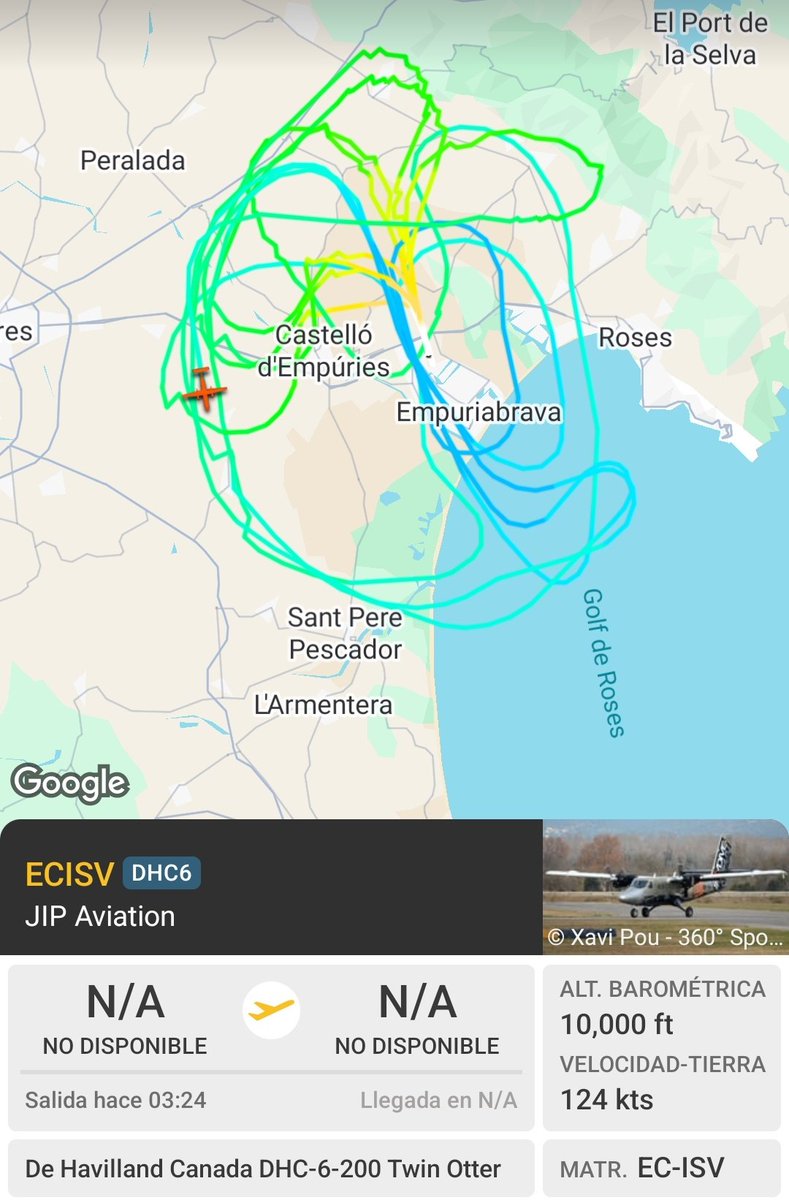 Javier Ortega Figueiral tweet media