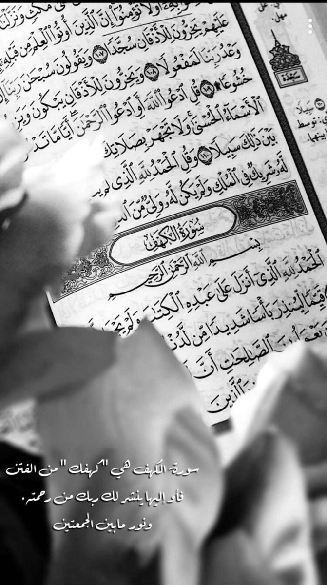 ‏؏ْـــــــرور✵⿻ tweet media