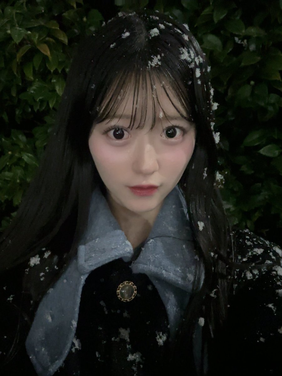 【ゆきオーダーページ】 RT @azuki_yagi0322: 雪❄️.*˚
