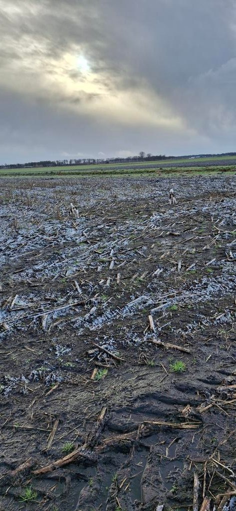 Het is hier vooral nat. Zoek de 🐶🐶😉