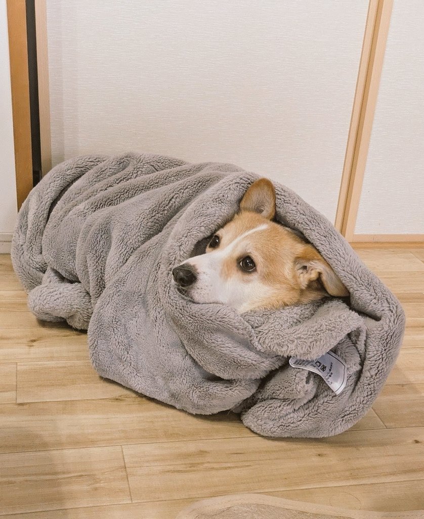 月曜日ですね🐈 #絵日記 #お絵描き #イラスト #落書き #日記 #ゆるいイラスト #女の子イラスト #手書き #一日一絵 #日常漫画  #エッセイ漫画, image size:838x1024