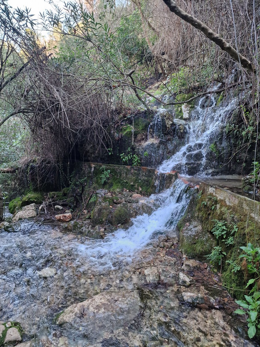 valenciabonita_'s tweet photo. 😍 Así de bonita está ahora la Font de Lloret, un precioso rincón digno de visita en la provincia de Valencia. Os contamos cómo llegar a ella en https://t.co/J7CpQLcjRq 👈 https://t.co/UQLeFgIg49