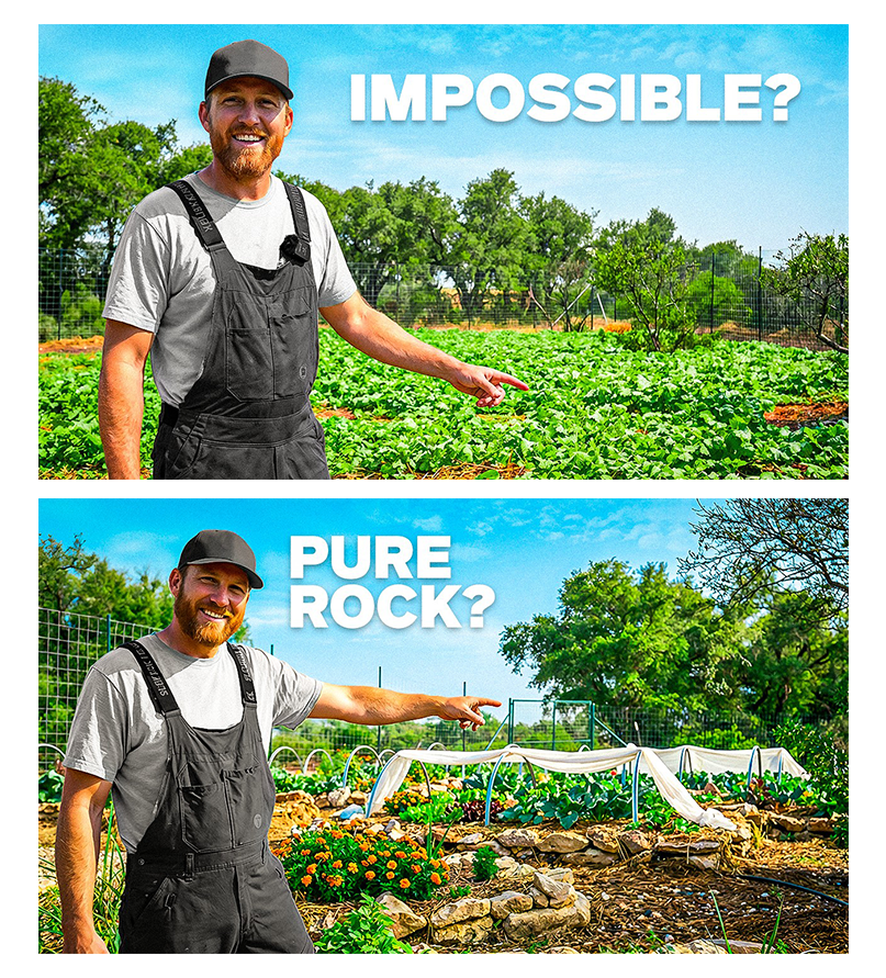 Badis Designs | Thumbnail Designer tweet media