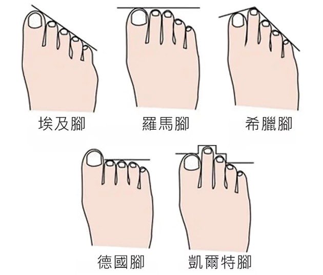 女生腳型哪一種最好看？ https://t.co/q9gN49lHfW