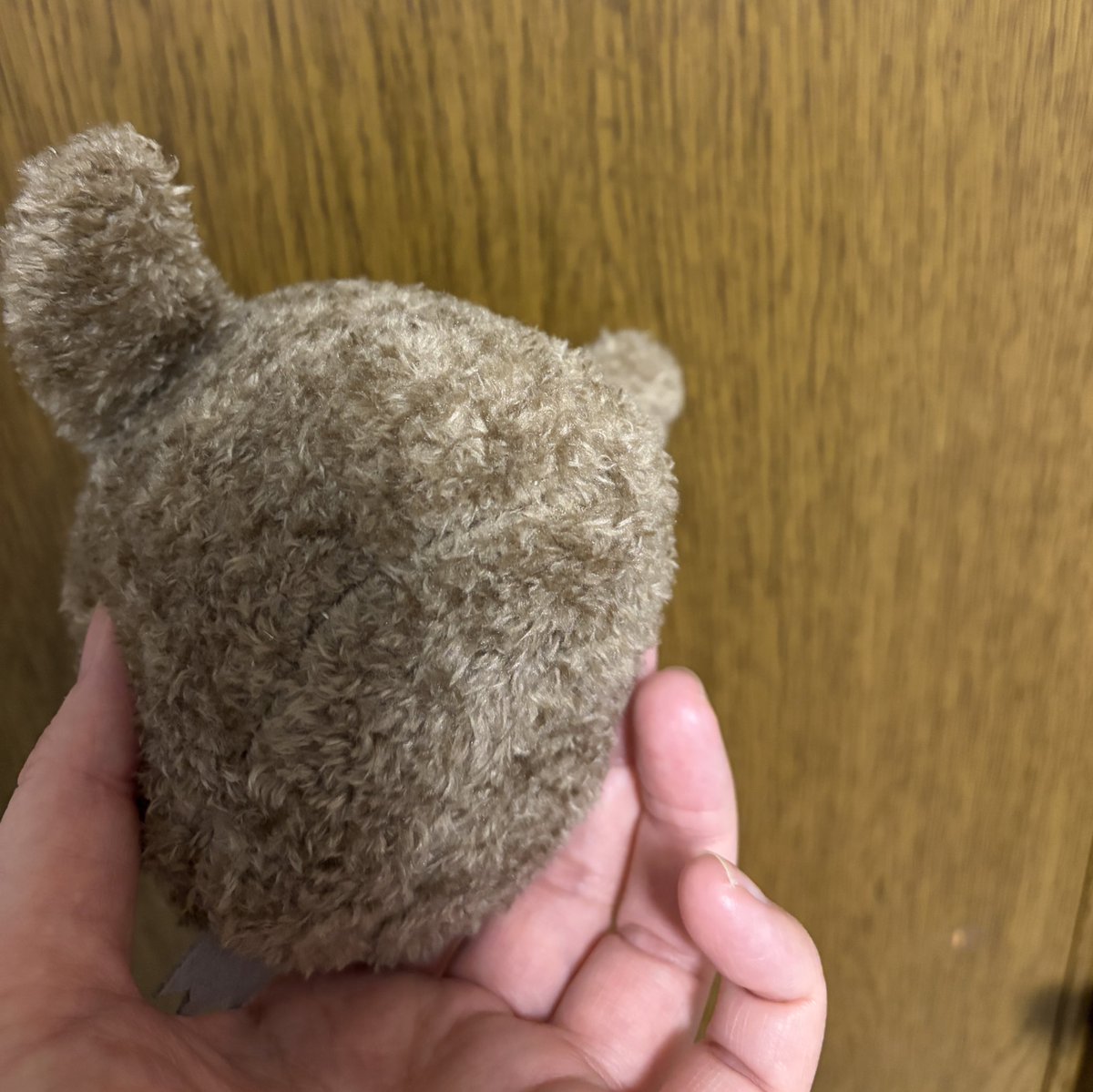 ことりのぬいぐるみキットの子ペンギンさんができました！！この休みに作らないとタイミングを逃しそうで作りましたよ。立体的に縫っていくのは難しい💦でも可愛くできました🙌