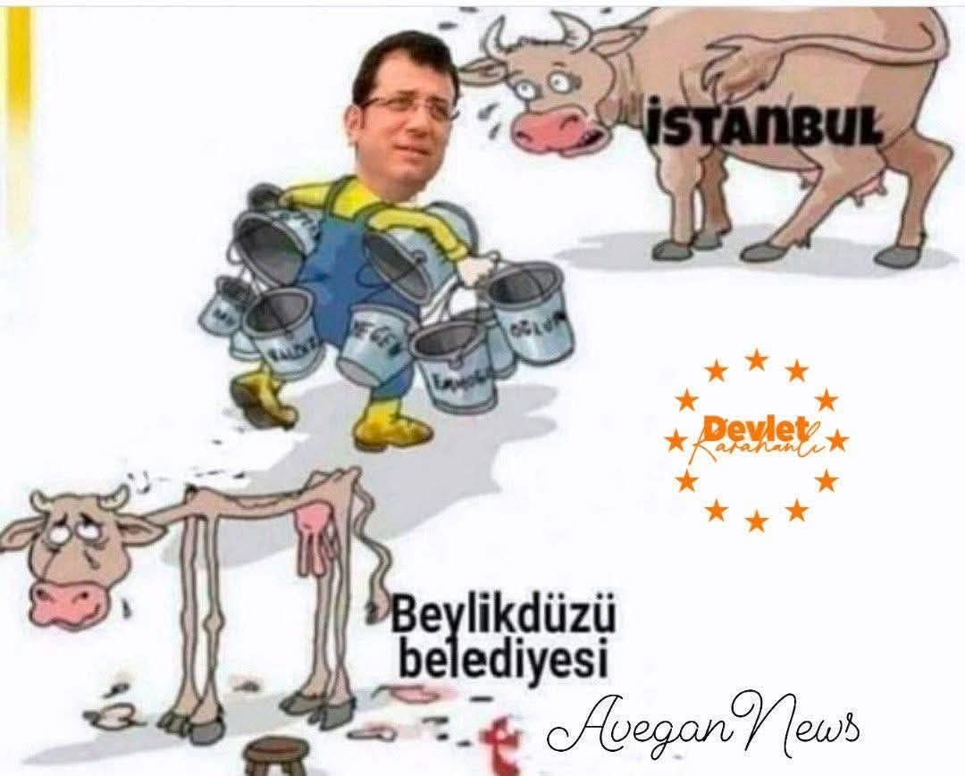 33 Adet binası var,
980 Adet dairesi var,
156 Adet dükkanı var,
12 Adet villası var,
73 Adet ofisi var,
Bu adam bütün bunlara Beylikdüzü Belediye Başkanı olduktan sonra sahip olmuş.
Türkçesi;
 Bu adam Beylikdüzü Belediye Başkanı iken bütün Beylikdüzü'nü kendi üstüne geçirmiş..