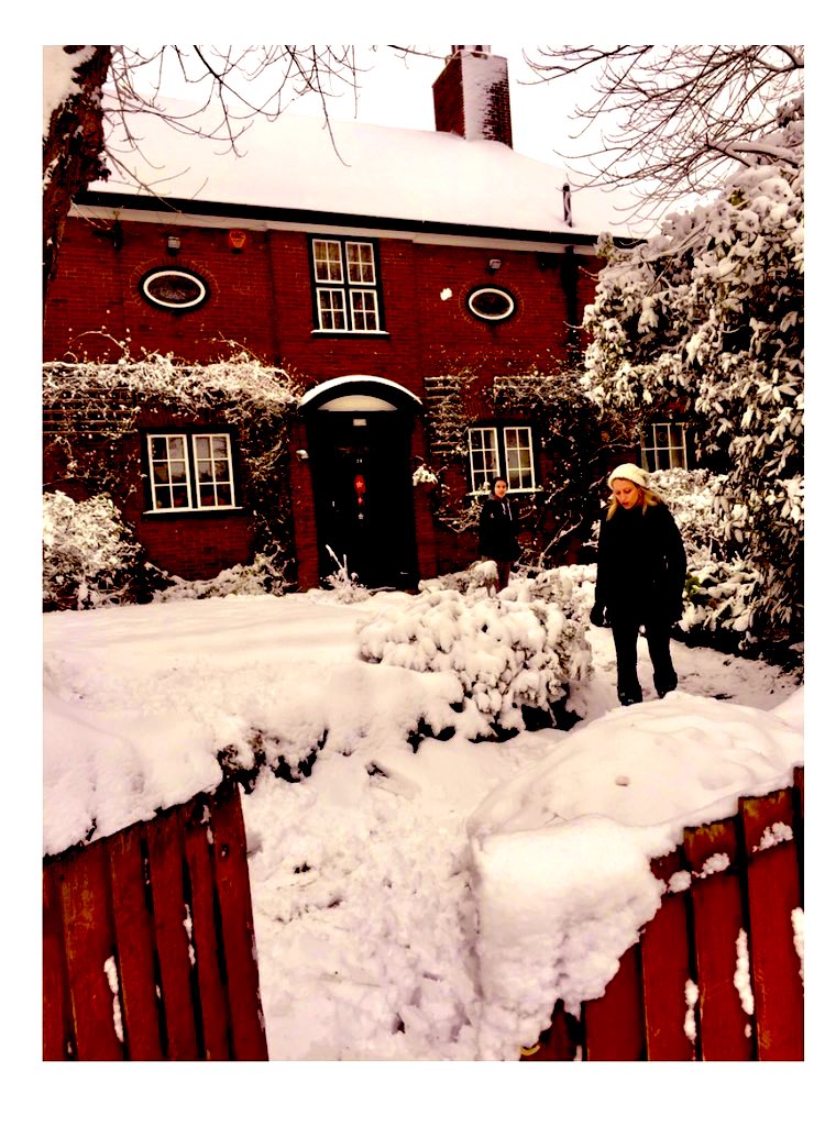 Seedbeds tweet media