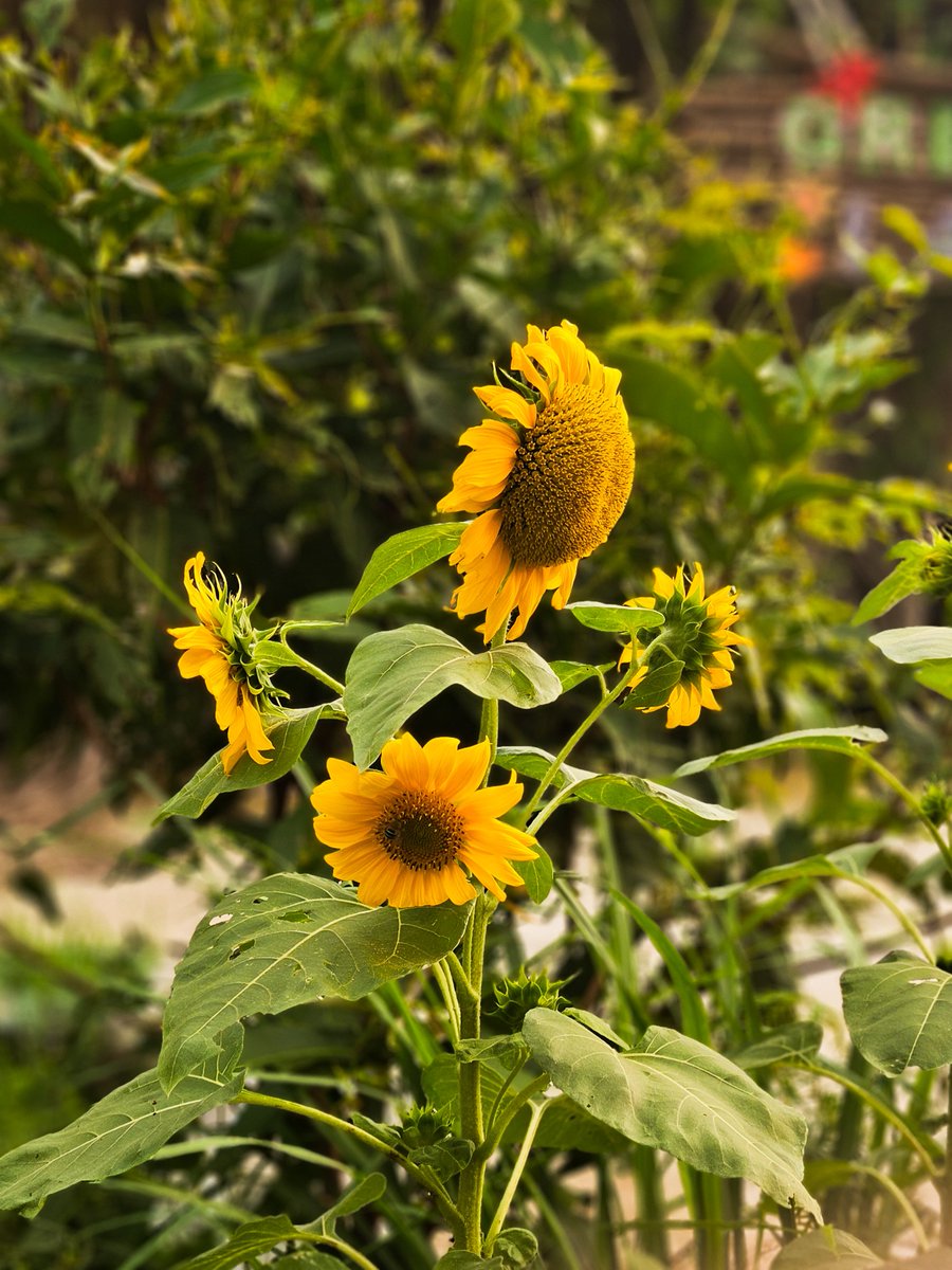 amelindaf's tweet image. terlalu bagus untuk tidak diabadikan