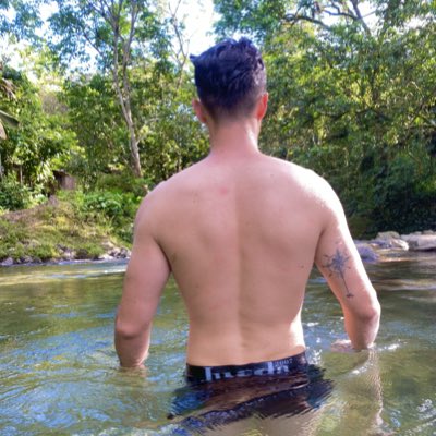 Sebastian tweet media
