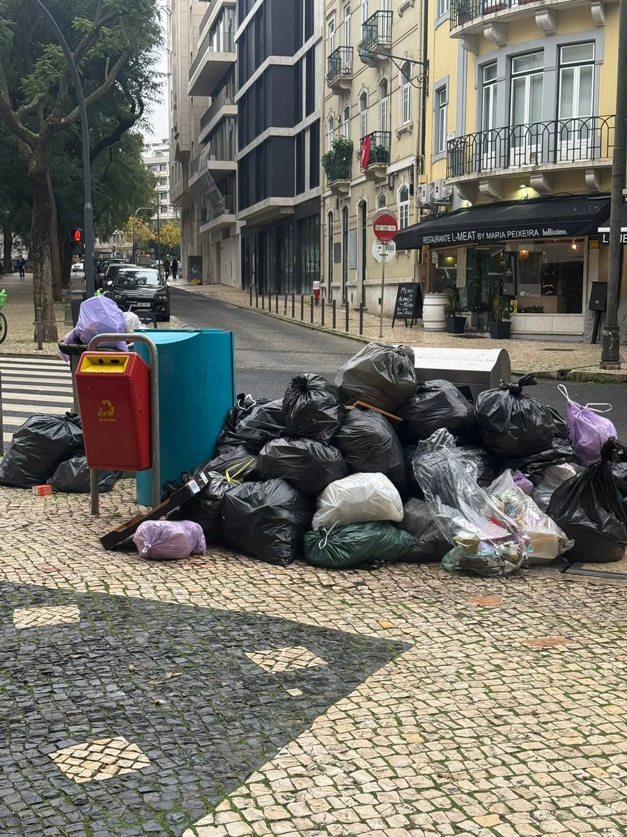 Maria Amélia de Andrade e Pinto de Almeida tweet media