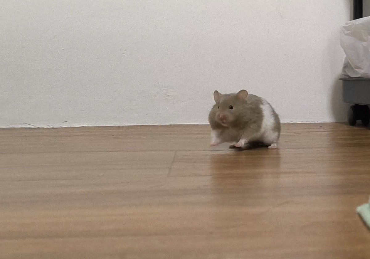 あけおめでちよ