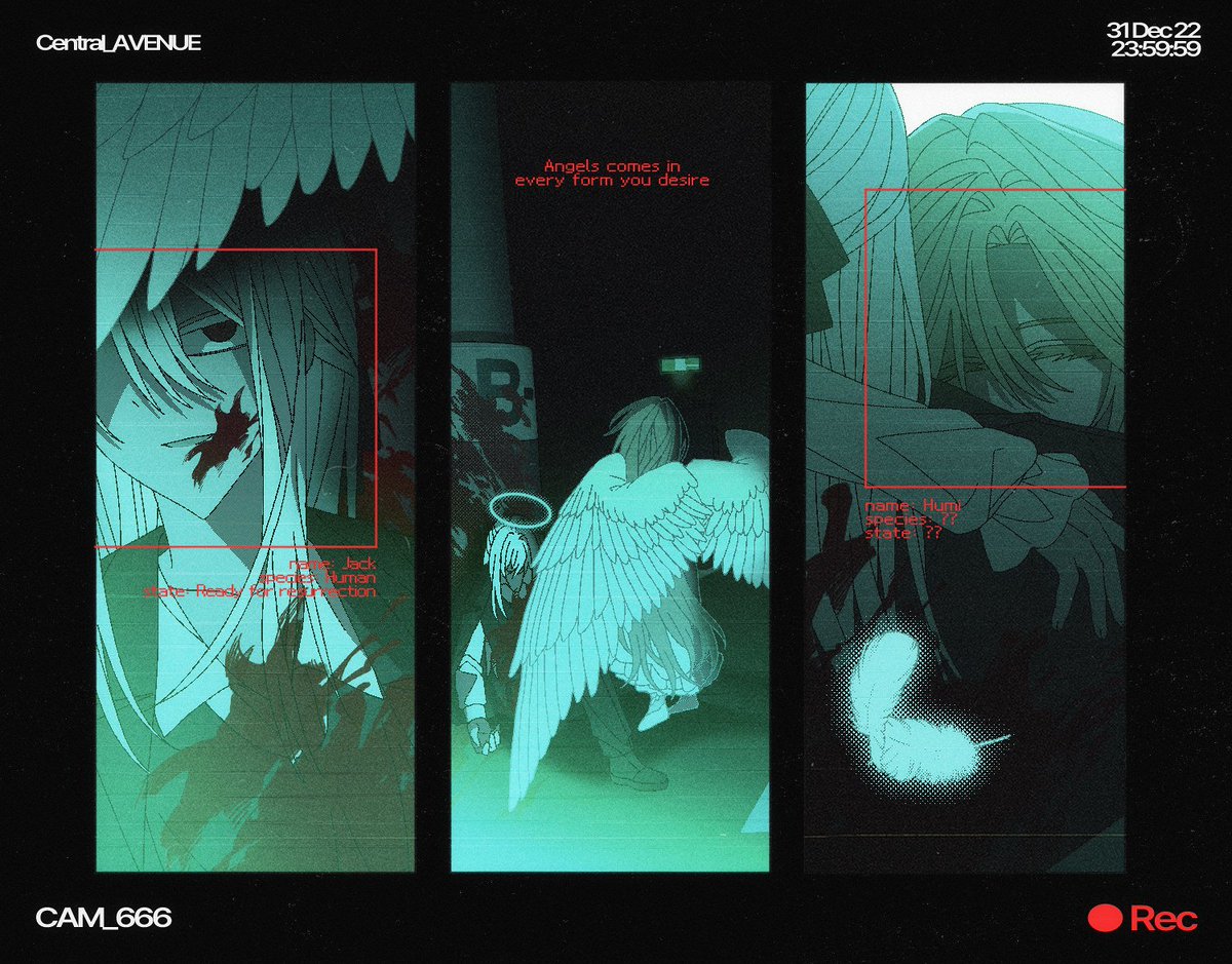 🌮🦓 tweet media