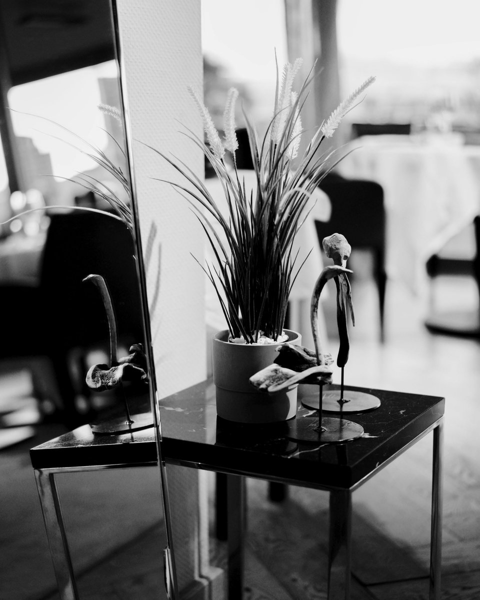 Where the timeless spirit of Italy meets the modern pulse of the city. 
Join us for an evening of effortless elegance. 🤍

Reservation: tinyurl.com/TerrazzaItalia…

#terrazzaitalia #italianfood #italia #italy #istanbul