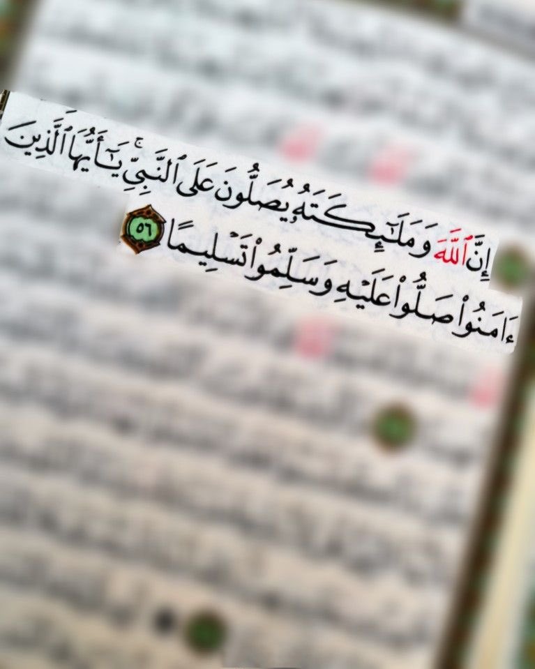 mutlaq alzarea tweet media