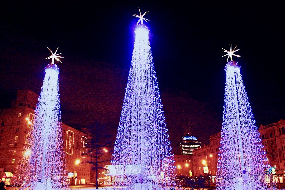 архив 2006 январь:
новогодние елки на Кутузовском проспекте