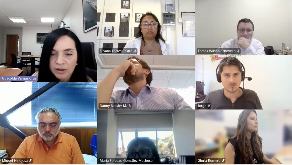 La participación en la próxima feria Seatrade Cruise Global y el perfeccionamiento de las experiencias turísticas ligadas a la cultura mapuche, la gastronomía y los viñedos de la zona, fueron los ejes del último Comité Técnico de Cruceros del Biobío de 2025.