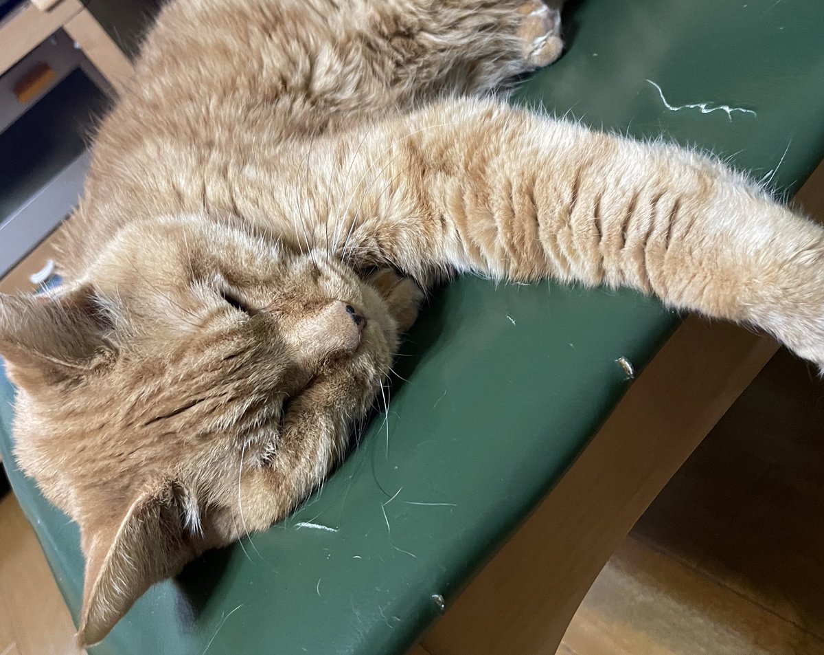 さとうみ tweet media